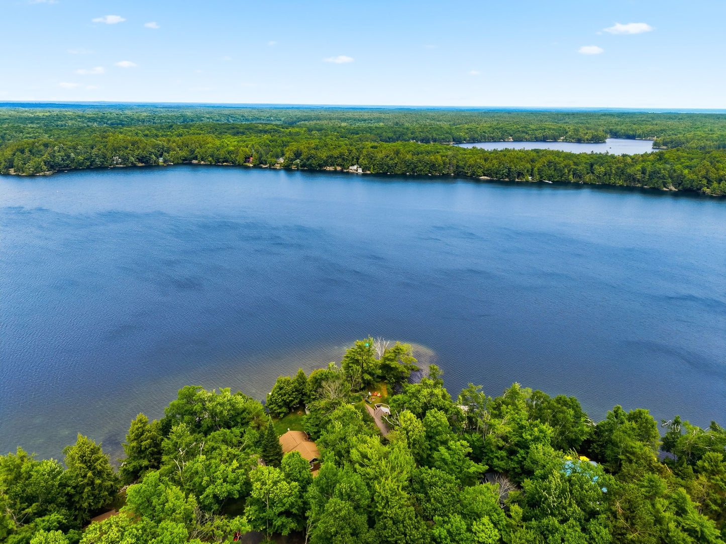 Clear Lake Treasure