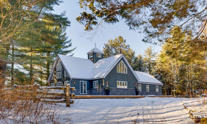 Blue house with a snow-covered roof surrounded by trees in a snowy landscape